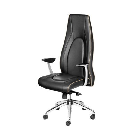صندلی مدیریت طبی ME880S داتیس