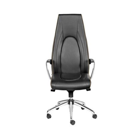 صندلی مدیریت طبی ME880S داتیس