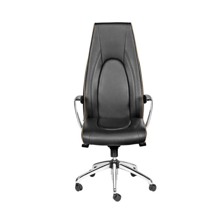 صندلی مدیریت طبی ME880S داتیس
