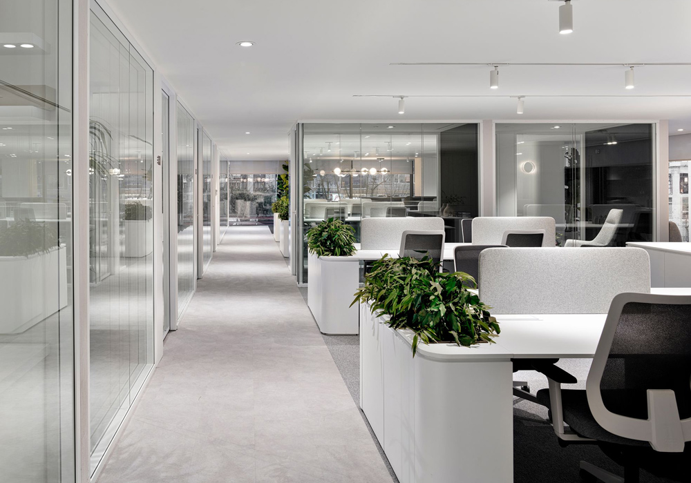 چیدمان دفتر کار